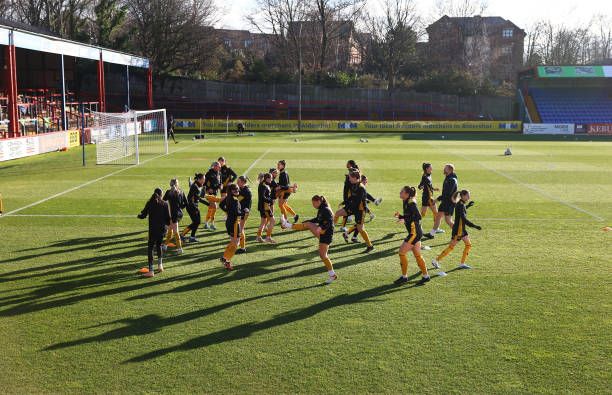 有媒体曾分 有媒体曾分